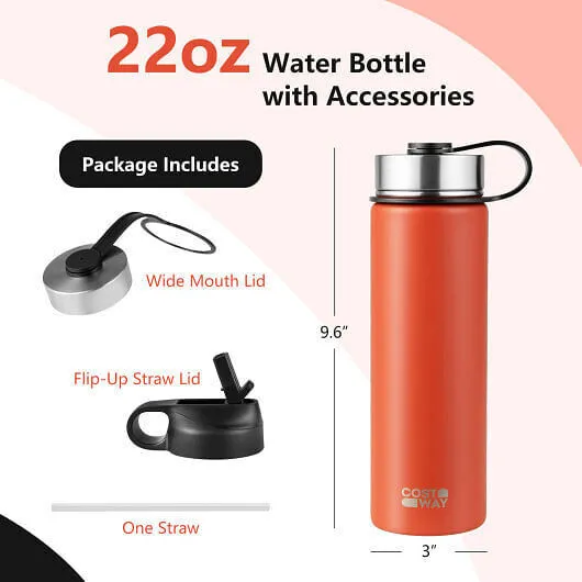 22 Oz Double-walled Insulated Stainless Steel Water Bottle with 2 Lids and Straw