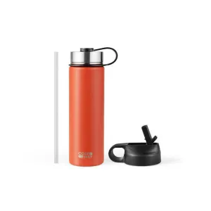 22 Oz Double-walled Insulated Stainless Steel Water Bottle with 2 Lids and Straw