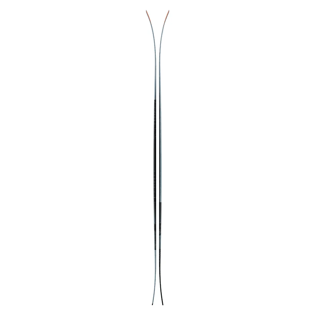 Backland 102 skis 2025