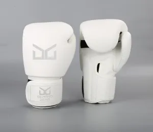 Boxing Gloves 12Oz JAB Series I