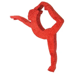 Gymnast Pose D