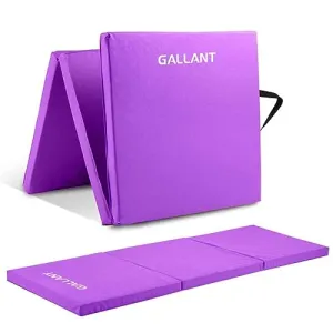 Gymnastics Mat Tri Foldable Exercise Workout Mat - Exercise Mats