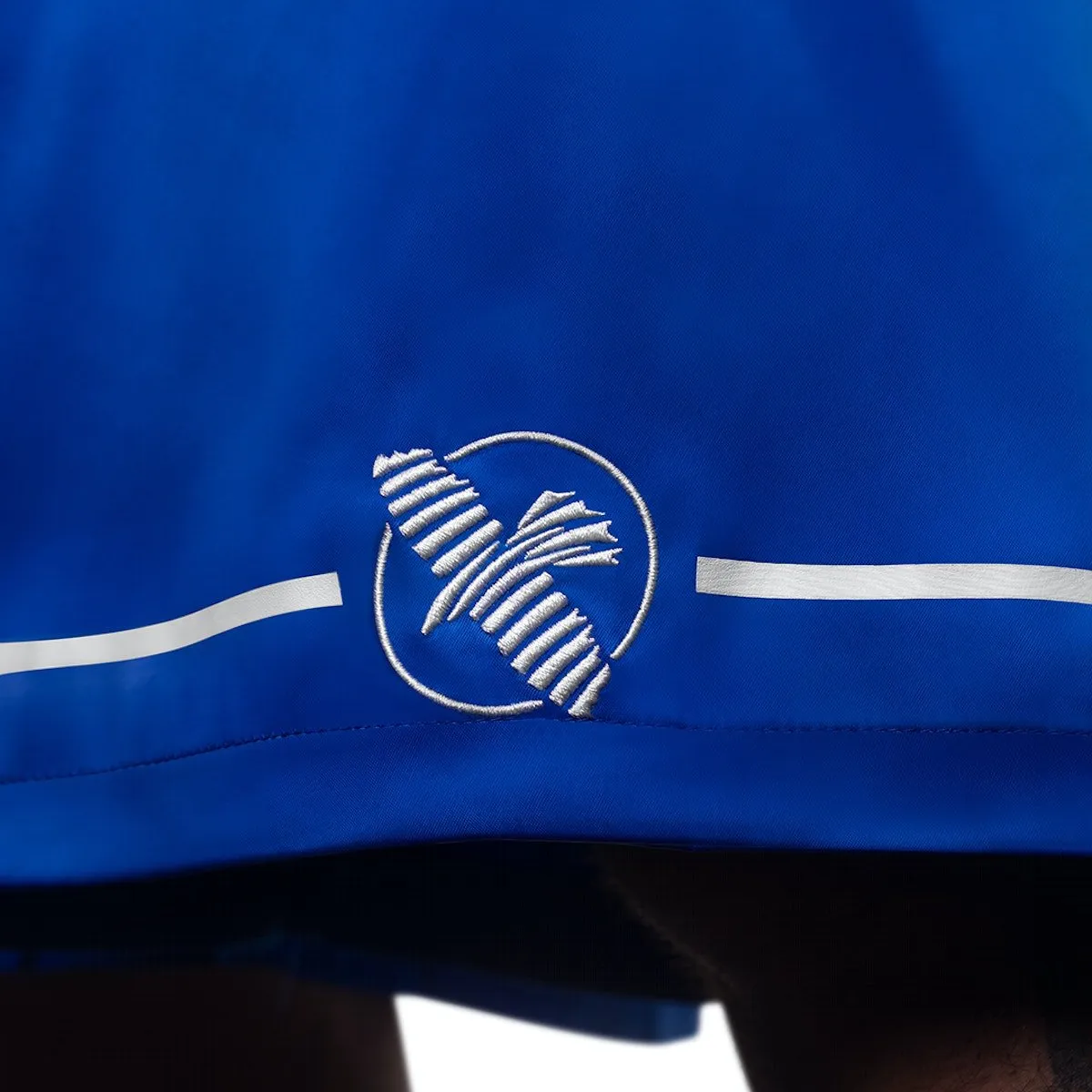 Hayabusa® Pro Boxing Shorts