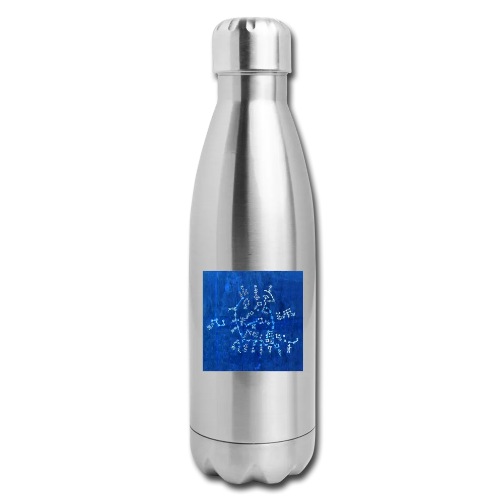 Insulated Stainless Steel Water Bottle