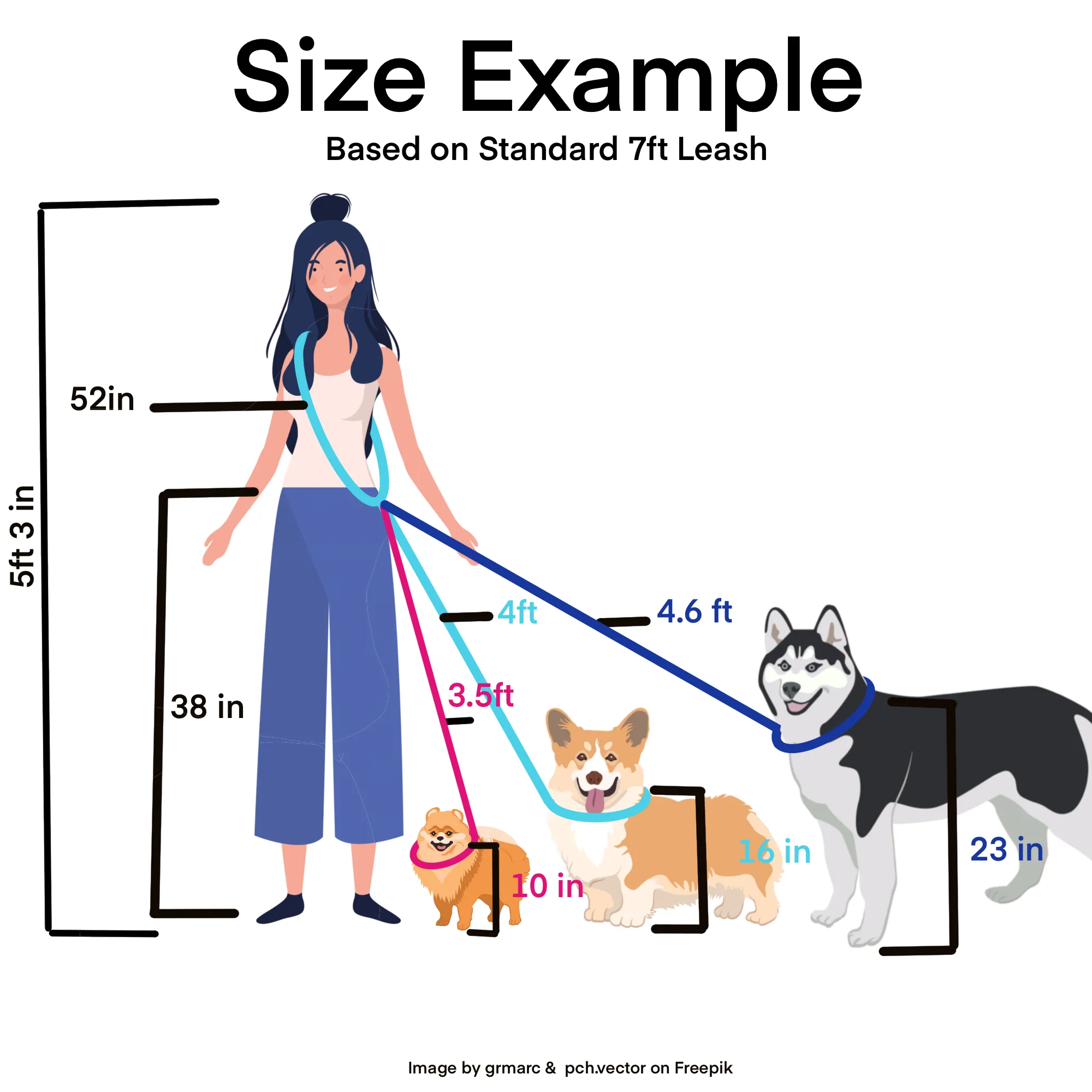 Multi Way, Convertible, Hands Free Biothane Waterproof Leash- 5/8" Inch- Small to Medium Dogs