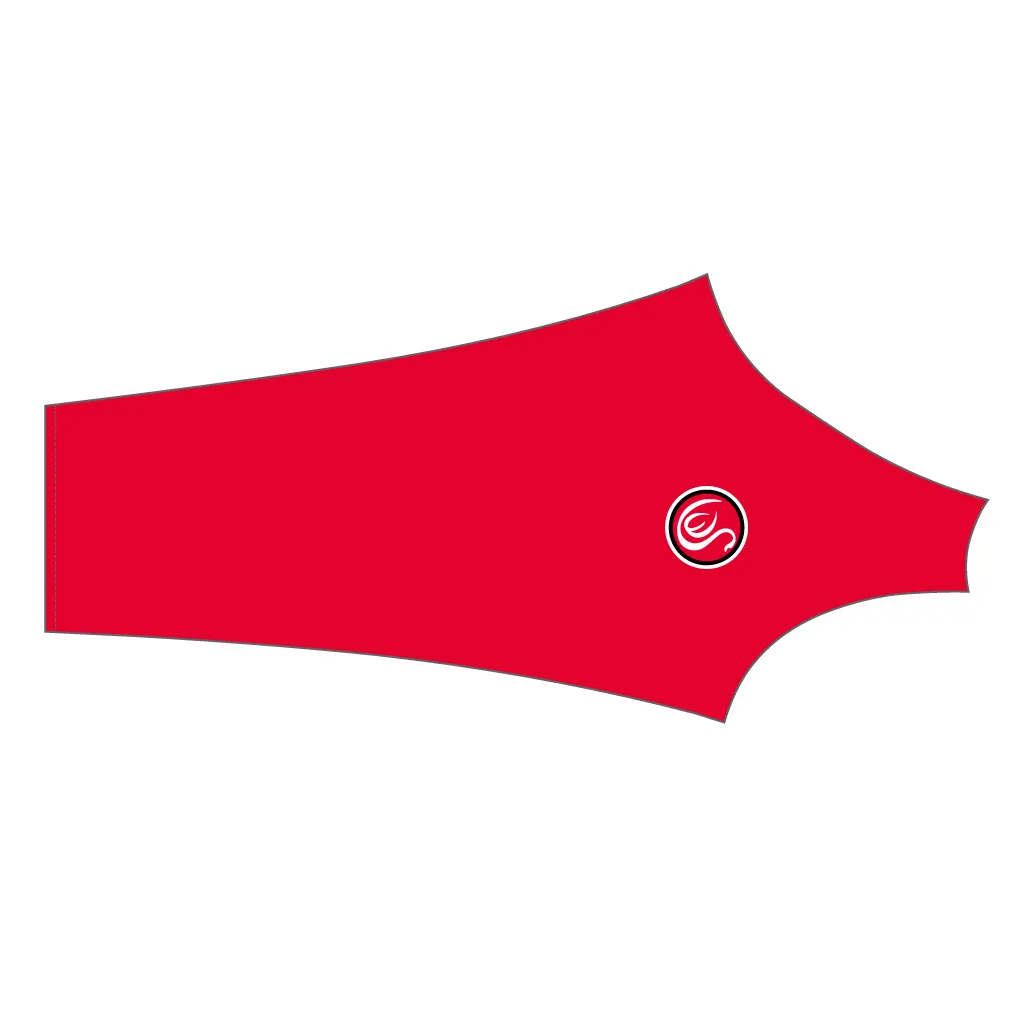 PERFORMANCE  Jersey Long Sleeve