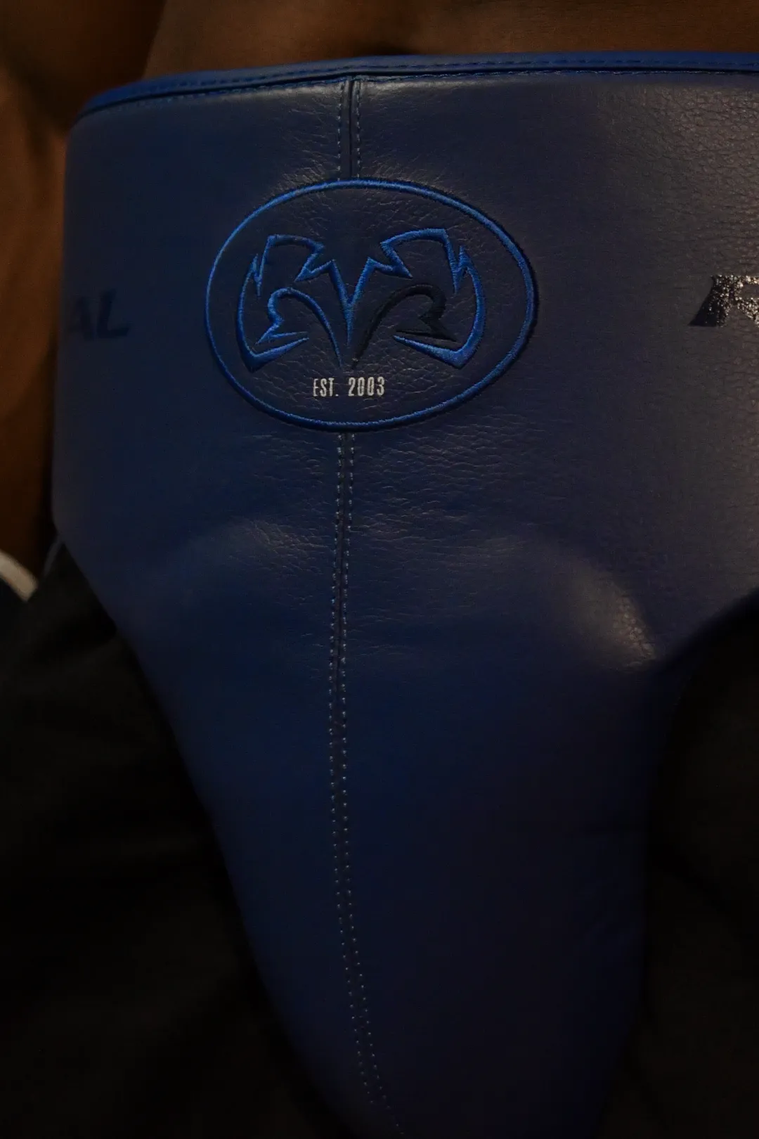 Rival RNFL-Guerrero 180 Protector