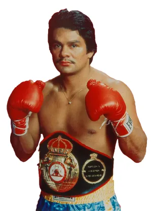Roberto Duran Autographed Silver Signed Red Everlast Boxing Glove large signature