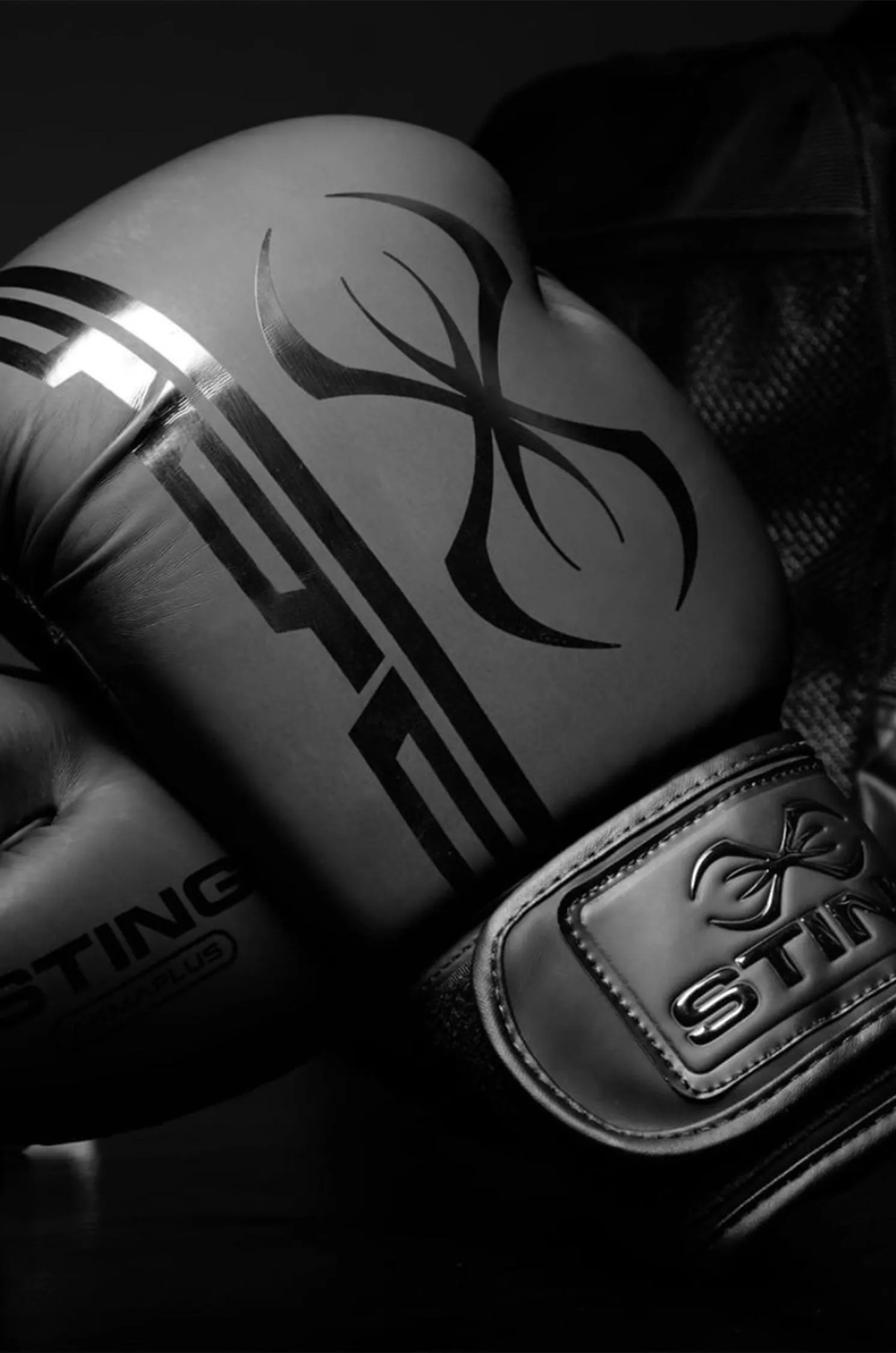 Sting Armaplus Boxing Gloves