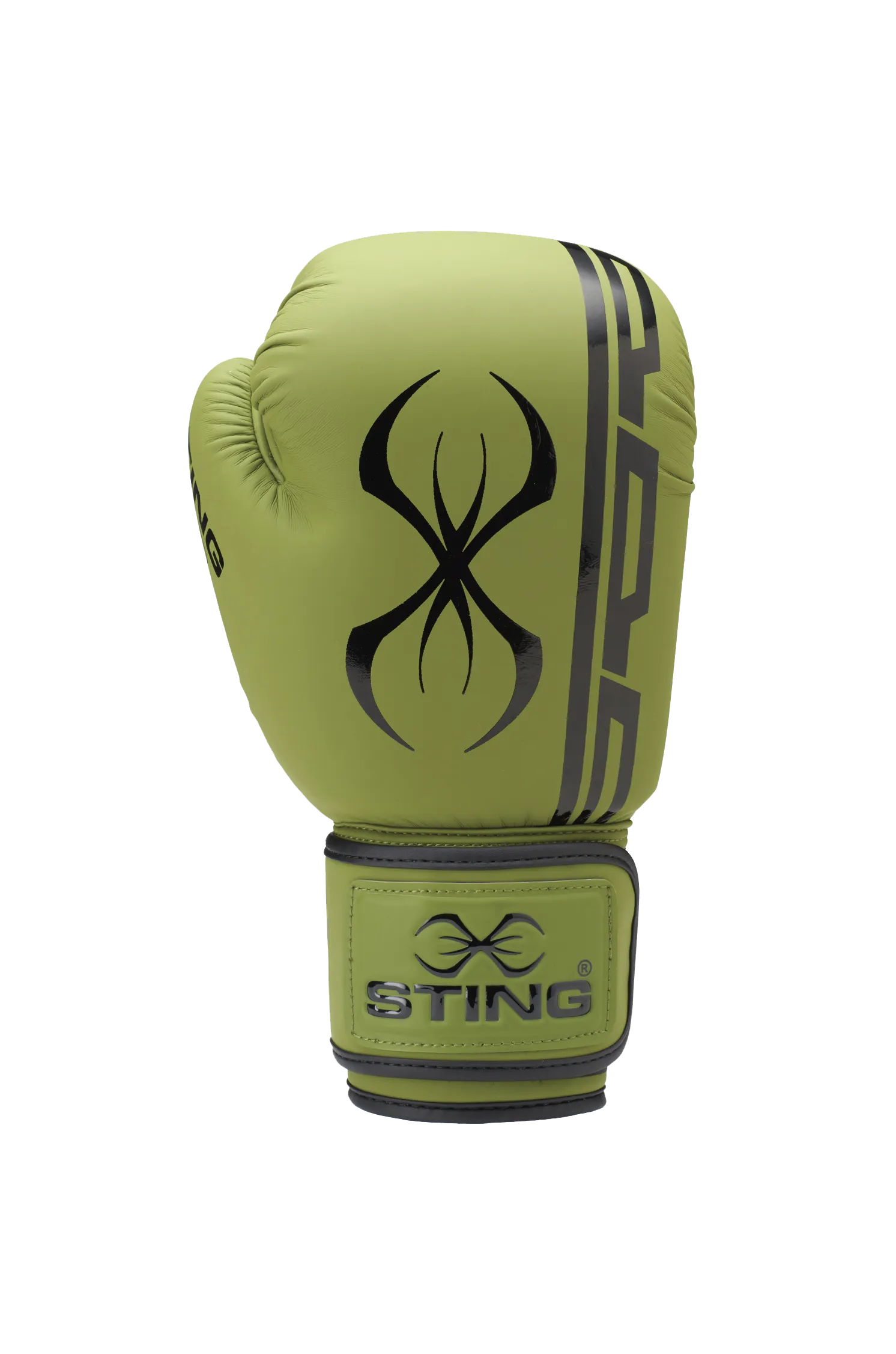 Sting Armaplus Boxing Gloves