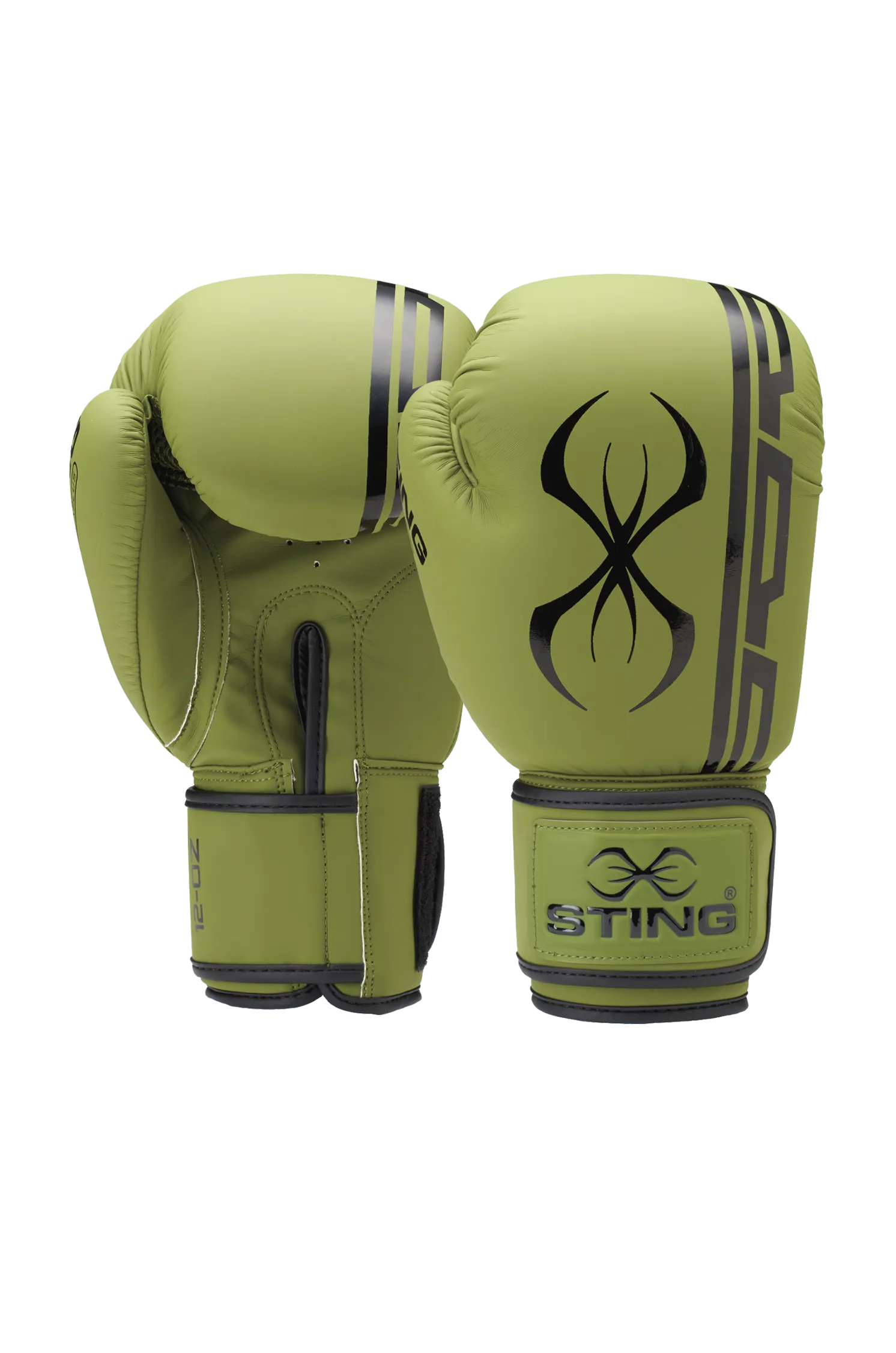 Sting Armaplus Boxing Gloves