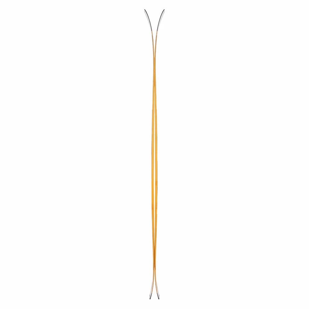 Tigard 97 skis 2025