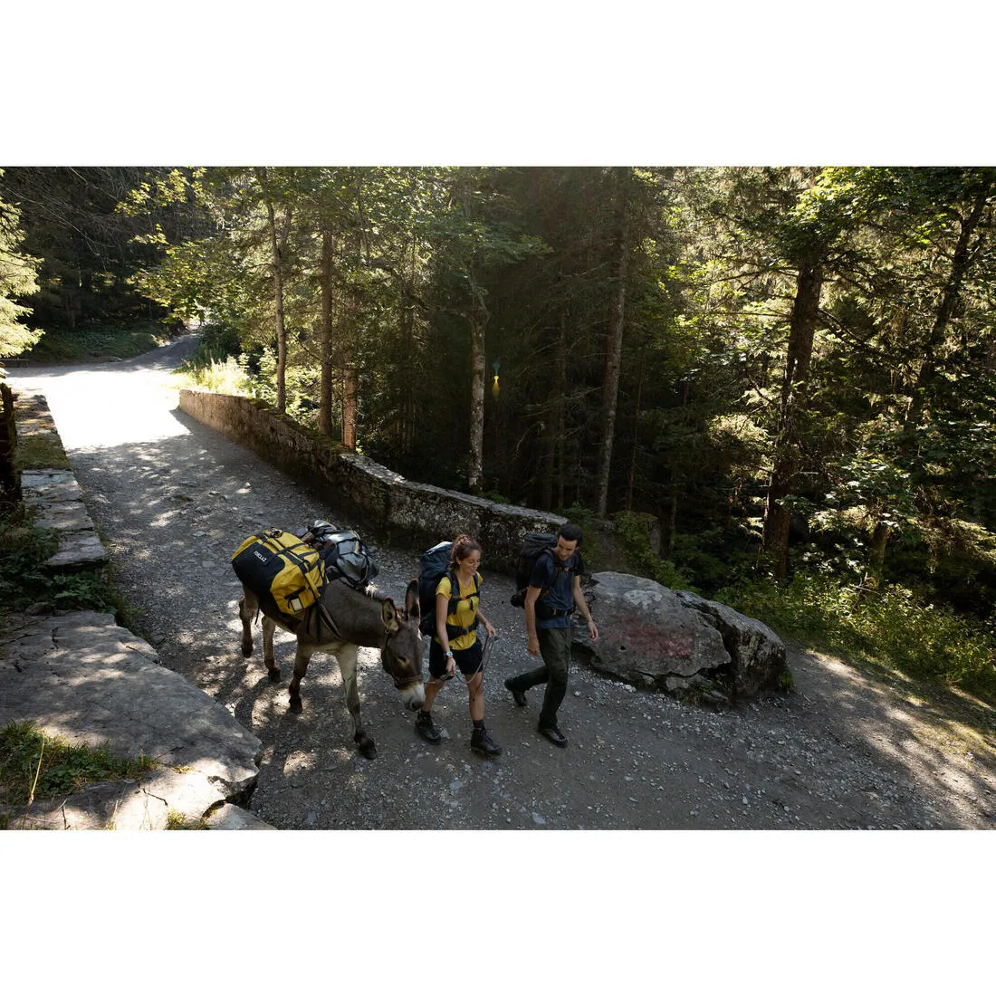 Trekking Carry Bag - 80 L to 120 L - DUFFEL 500 EXTEND