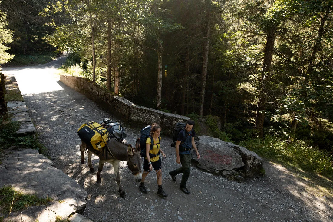 Trekking Carry Bag - 80 L to 120 L - DUFFEL 500 EXTEND