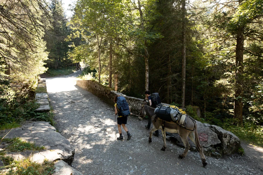 Trekking Carry Bag - 80 L to 120 L - DUFFEL 500 EXTEND