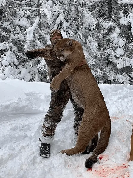 Waypoint Outfitters - Guided Mountain Lion Hunt