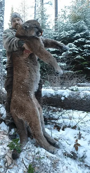 Waypoint Outfitters - Guided Mountain Lion Hunt