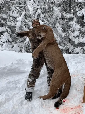 Waypoint Outfitters - Guided Mountain Lion Hunt