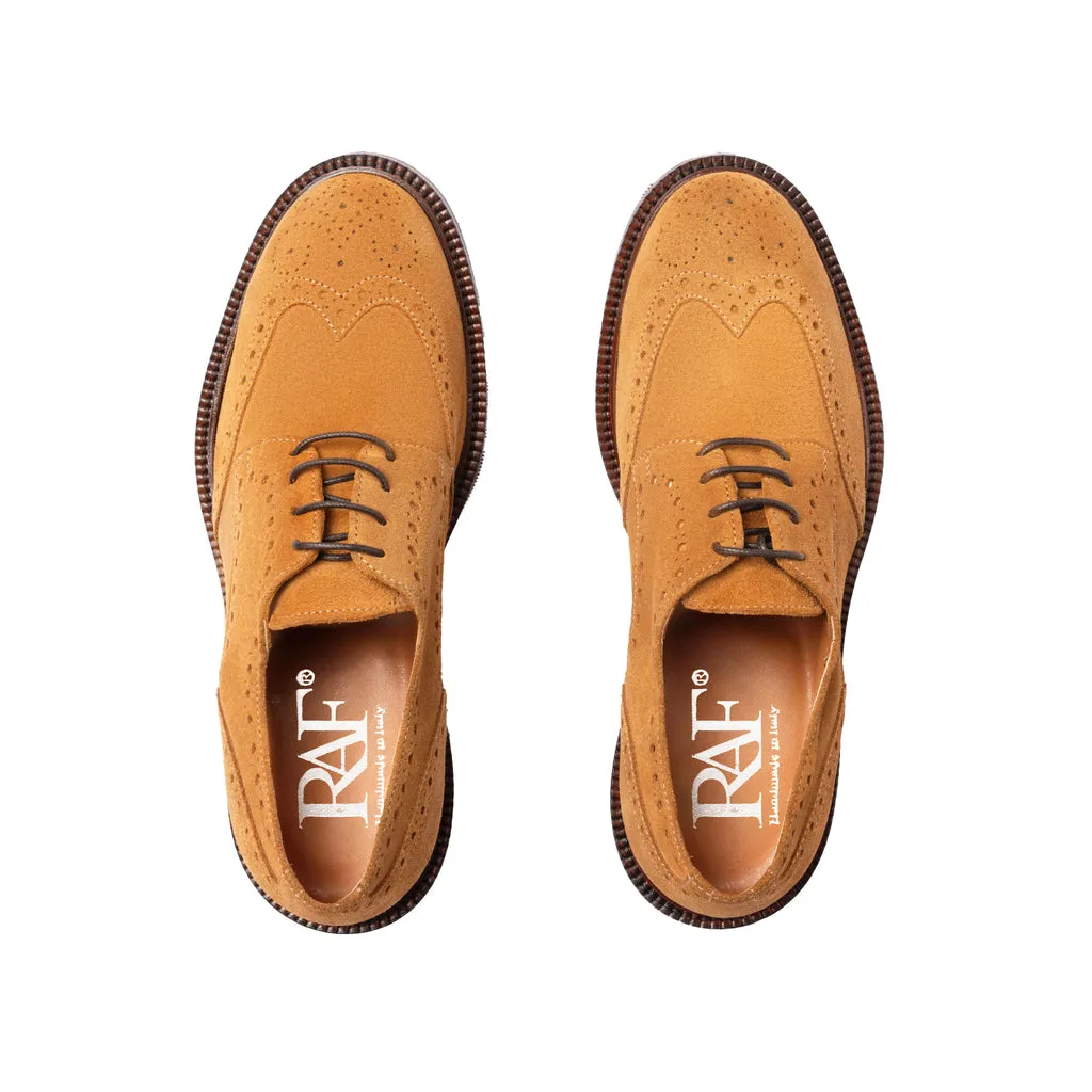 Women's Laced Shoes in Suede Leather