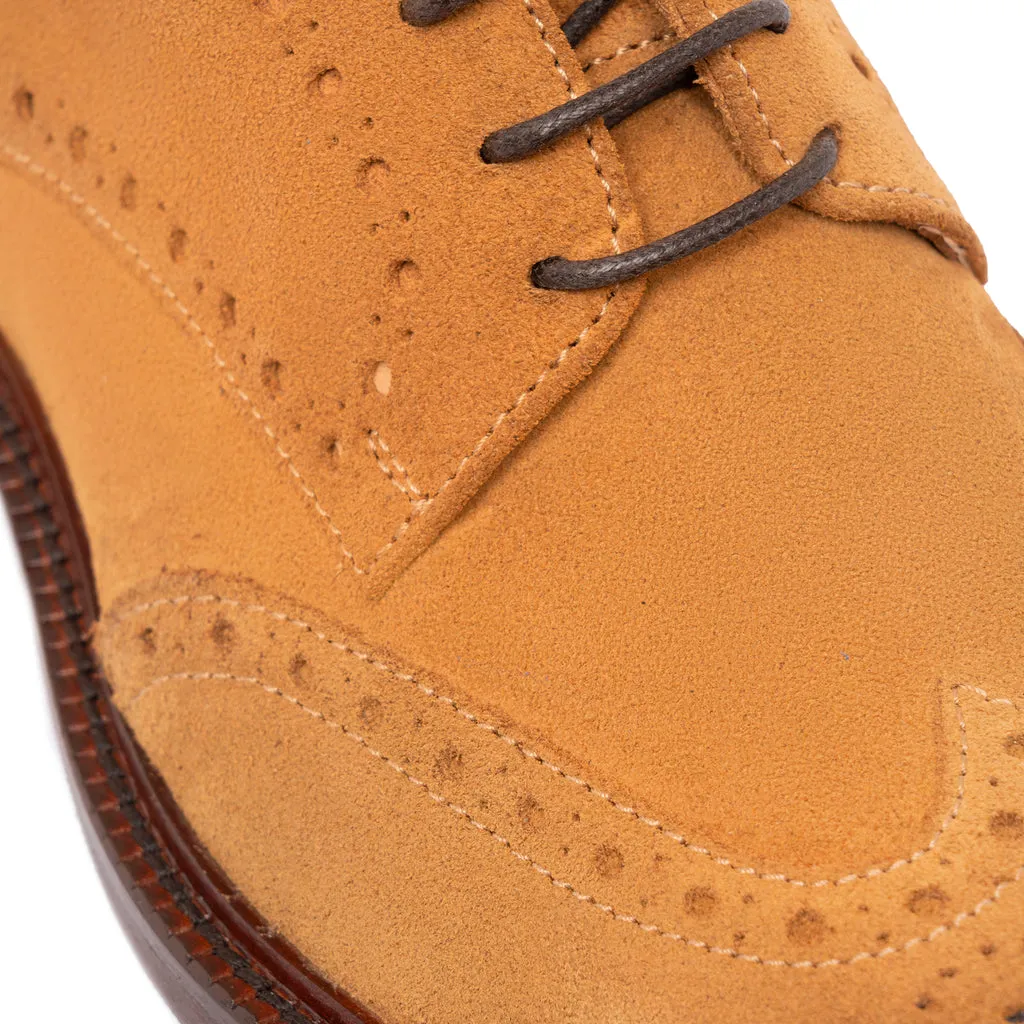 Women's Laced Shoes in Suede Leather